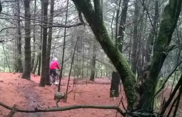  在阿胡斯科拍摄 